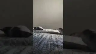 я проснулся.mp4 #shorts