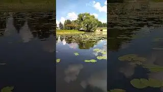 6 августа 2024 г.