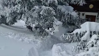 The day after