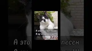 Мой топ песен А ну-ка Давай-ка! #песни#топ5#анукадавайка