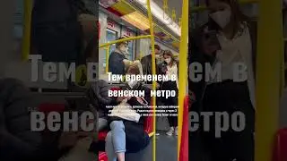О жизе в Вене -у меня в инсте dpryanikova 🌷 