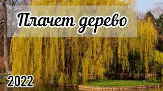 Очень красивый христианский гимн на жатву | 