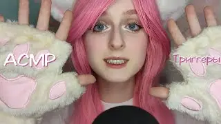 АСМР Неко триггеры | Брашинг, скретчинг, таппинг и много чего еще | ASMR Neko triggers