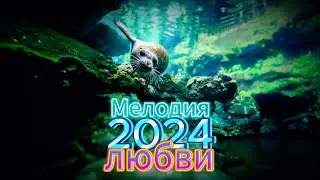 ЭТА МУЗЫКА НЕЖНО КАСАЕТСЯ СПОКОЙСТВИЕМ | КРАСИВАЯ МЕЛОДИЯ ДЛЯ ДУШИ