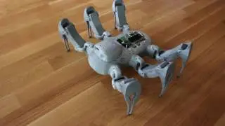 Hexapod Animabot Rev2 - First wake up