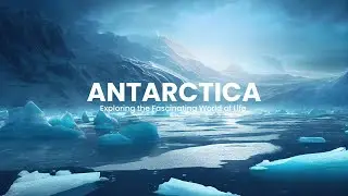Exploring the Fascinating World of Life on Antarctica