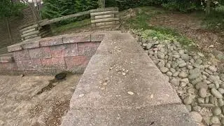RAW 4K footage with multiple chipmunks -- (see description)