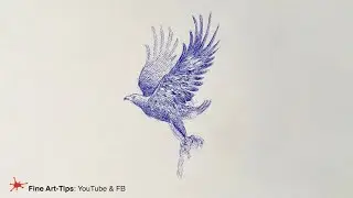DRAWING AN EAGLE WITH A CHEAP BALLPOINT PEN - Timelapse