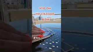 о чем он молчит 