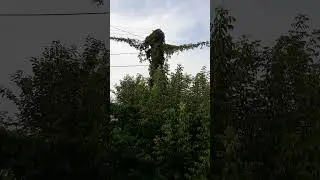 японский ужастик