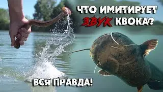 #КВОК