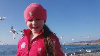 начало декабря 2020 - Сочи