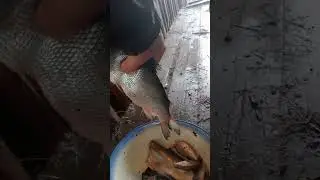 Отличная коптильня. Первое копчение.