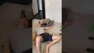 Реакция собаки на мою см*рть 🫣😂Малыш в шоке 