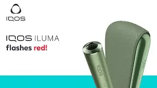What do red flashing lights on my IQOS ILUMA mean? | IQOS UK