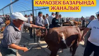 9-ИЮЛ/2025/КАРАОЗЕК МАЛ БАЗАРЫ/МАЛ БАЗАР 2025/ДЕМ БЕРМЕС МАЛ БАЗАР