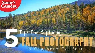 5 Tips for Capturing Fall Photography In Southern California