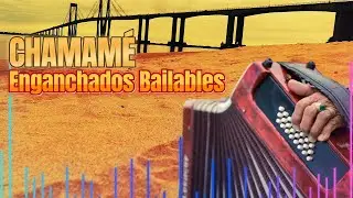 CHAMAMÉ para bailar en las Fiestas