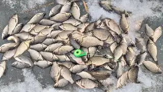 КАРАСЬ СО ЛЬДА, ПОПЁР!