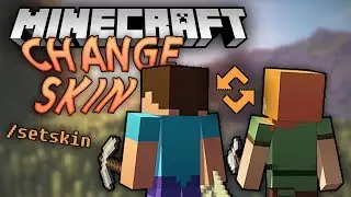 Minecraft Plugin Display: Change Skin