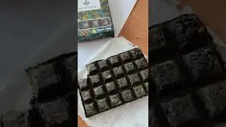 Дегустируем чай 🍵 Пуэр
