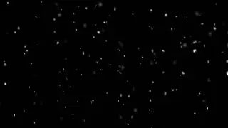 Мое новогоднее и последнее обращение. Первое видео в этом году.