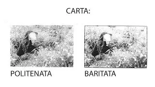 Carta da Stampa ai Sali d' Argento In Bianco e Nero: Carta Politenata vs Carta Baritata