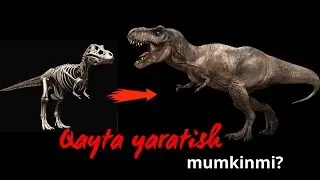Dinozavrlarni qayta yaratish mumkinmi | Ilmiy asoslarini ko’rib chiqamiz!