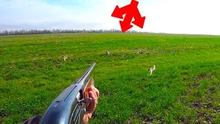 НАСТРЕЛЯЛ ЗАЙЦЕВ ВСЕМ !!!  МИНУС ДВА РУЖЬЯ !!!