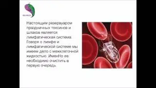 Как очистить организм после праздников