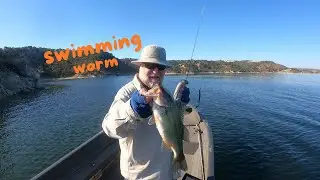 Versatility of a SWIMMING WORM