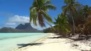 Приятного просмотра. Бора-Бора 💫 Остров Французской Полинезии