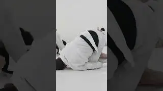 Rolling Back Take from Top by Rafael Mendes | AOJ+ aojplus.com