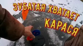 Наконец я выбрался на рыбалку и  можно расставлять жерлицы. рыбалка на щуку.