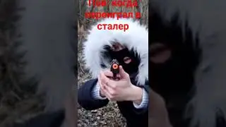 когда переиграл в сталкер 