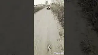 Уверенность в Себе, самое мощное оружие 💪