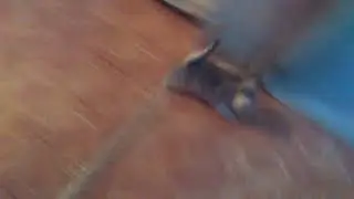 Неужели он водохлёб?