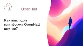 Как выглядит платформа OpenHalt внутри? 