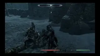 Let's party with the companions