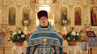 Orthodox Sermon - Faith founded in love