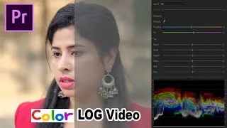 Color Grading in Premiere Pro CC 2020 ।। Part-03