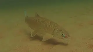 Underwater Timelapse Adventure Part 7