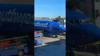 Get your Fly on, southwest airlines is in the house at BDL #travel #shorts #southwestairlines