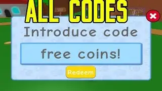PET TRAINER ALL CODES