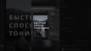 Быстрый способ тонировки