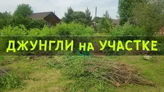 Проблемы на ДАЧНОМ УЧАСТКЕ - Выкорчёвываю СЛИВУ и ВИШНЮ