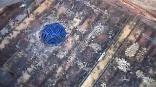 Семья воспитательница с плодной маткой