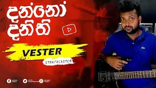 Vester Super strat electric guitar review in Sinhala | Vintage Vester guitars #slunprofessional