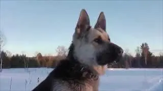 И не нужно слов...