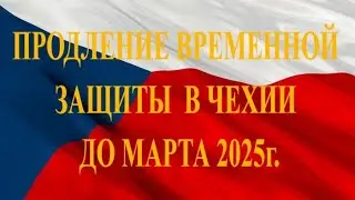 Возможное продление временной защиты в Чехии ещё на год.